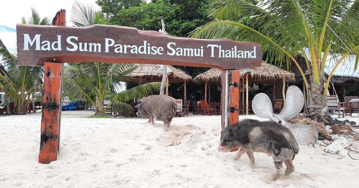 Islands South of Koh Samui — Koh Madsum, Koh Tan & Koh Som